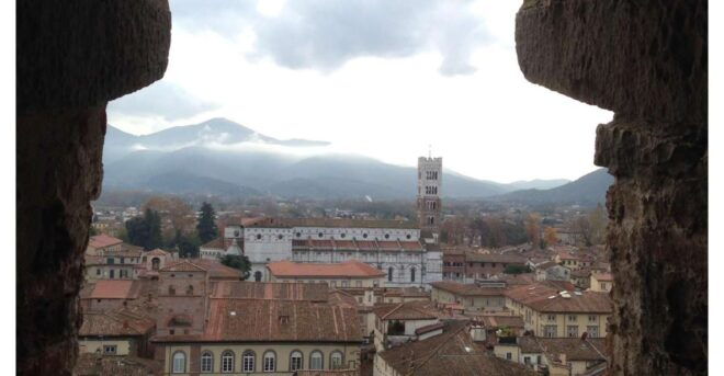 Pisa & Lucca With Wine Tasting and Lunch From Livorno - Experience