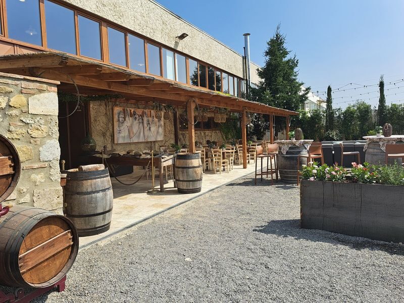 Pisa, Siena, San Gimignano with Lunch & Winery Experience - What the guide and coach add