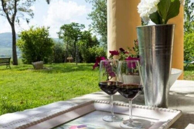 Pisa Tour and Wine Tasting on the Pisan Hills - Who Will Appreciate This Tour?