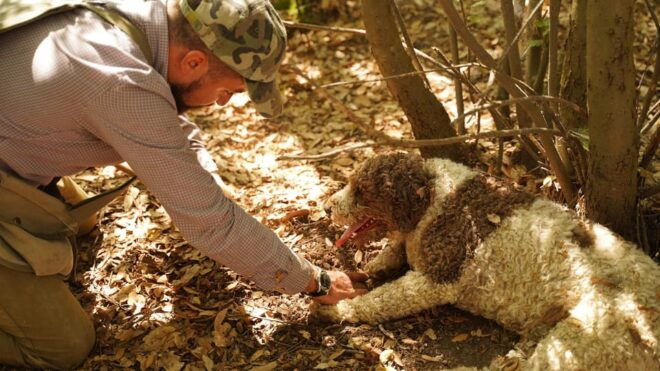 Pisa: Truffle Hunting in Tuscany With Tasting and Lunch - Cooking Class Highlights
