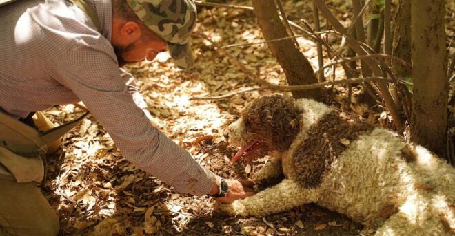 Pisa: Truffle Hunting in Tuscany With Tasting and Lunch - Whats Included in the Tour