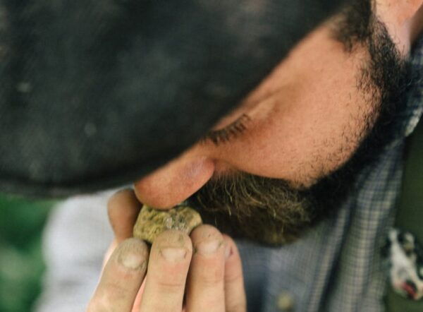 Pisa: Truffle Hunting in Tuscany With Tasting and Lunch - Preparing for Your Adventure