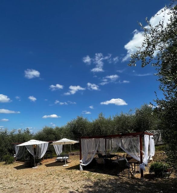 Pisa: Winery Tour and Wine Tasting with Local Food Pairing - What to Expect from the Pisa Winery Tour