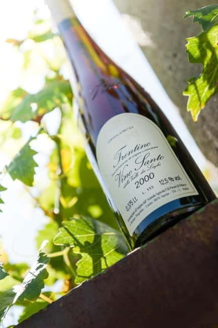 Pisoni: Stories of wine and flavors - A Closer Look at the Pisoni Experience