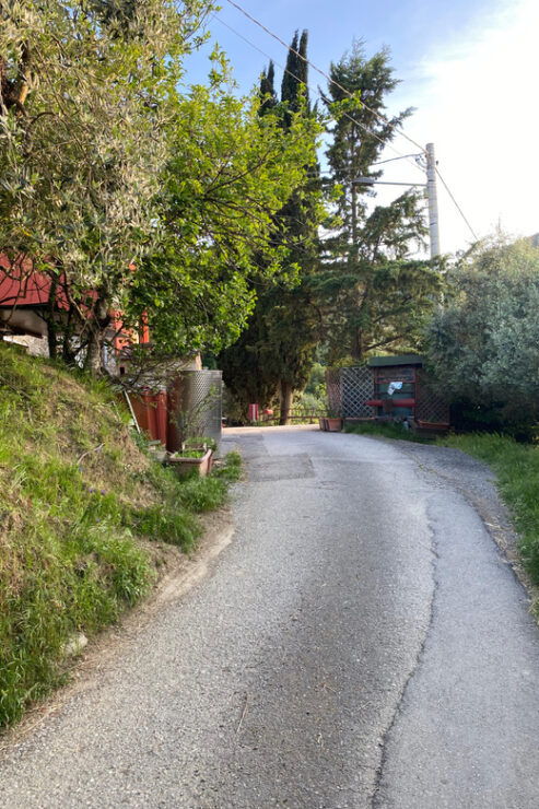 PISTOIA: TUSCAN COOKING CLASS IN A FARM + LUNCH - Experience Highlights