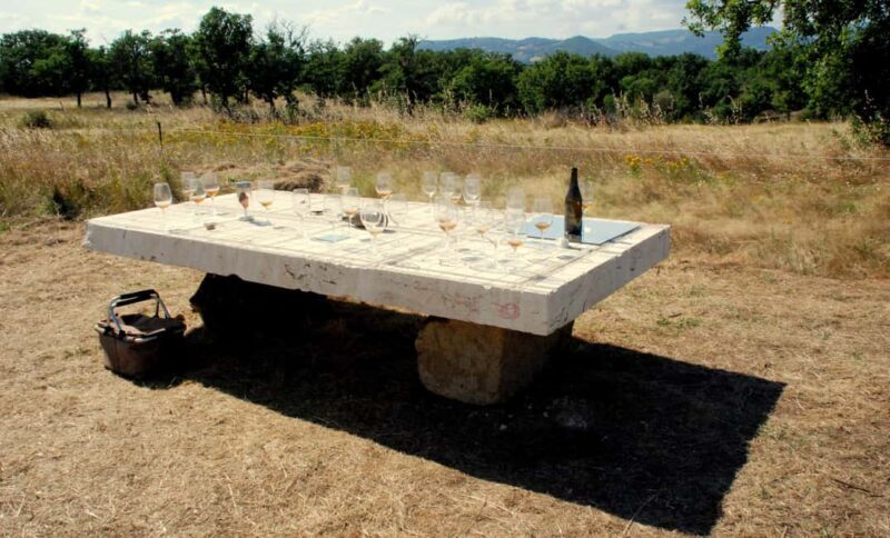 Pitigliano: Ciliegiolo Grape Wine Tasting - Exploring the Itinerary in Detail