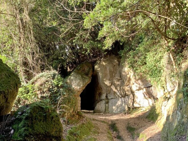 Pitigliano: Vie Cave and Etruscan Necropolis Walking Tour - Inclusions