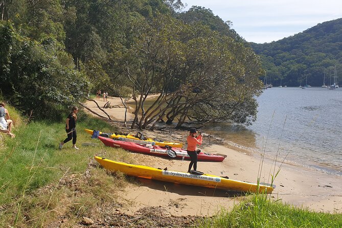 Pittwater Lunch Paddle With Waterfall Bush Walk - How to Prepare for the Waterfall Bush Walk