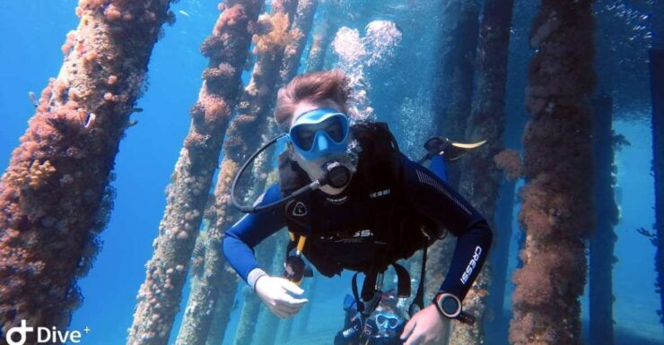 Pivate Scuba Diving in the Red Sea of Aqaba - Good To Know