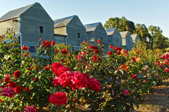 Pizzini Wines King Valley Esperienza - Private Wine Tasting & Grazing Plate - Directions