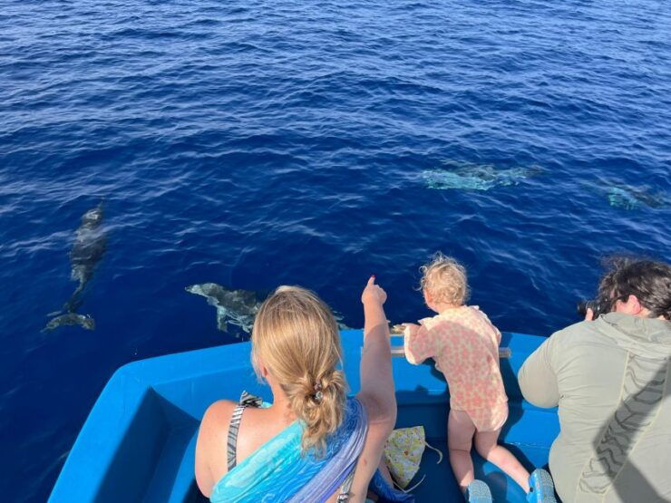 Pizzo: Fishing, Snorkeling, Dolphin Watching - Activity Details