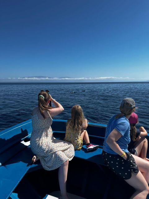 Pizzo: Fishing, Snorkeling, Dolphin Watching - Itinerary
