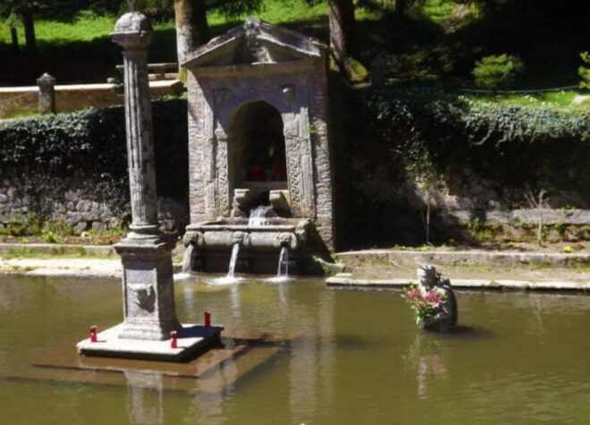 Pizzo: Scolacium Archaeology Park & Serre Natural Park Tour - Includes