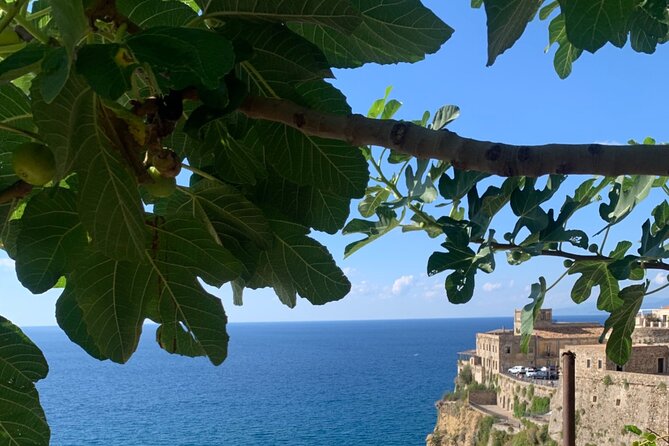 Pizzo Walking Tour, the Jewel of the Tyrrhenean Sea - Tour Highlights