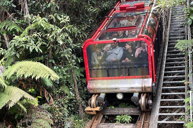 PJ Blue Mountains Supreme Tour (Private Charter) - Common Questions