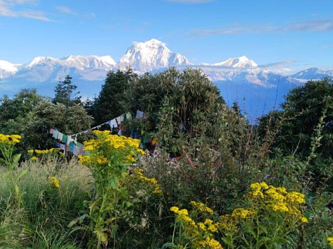 Pkr :4 D,Budget Backpackerers Group Poon Hill Trek (Fix Dep) - Required Documents and Items