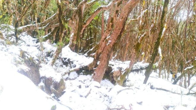 Pkr. Backpacker Group Dep.: 4 Day Mardi Himal Base Camp Trek - Inclusions of the Trek