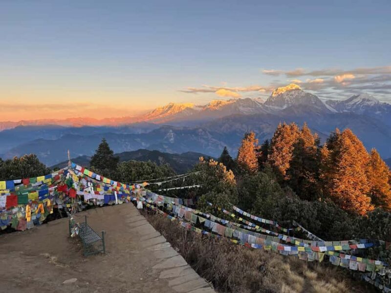 Pkr/Kathmandu: 3-Days Poonhill Private Trek - Introduction: What to Expect from the 3-Day Poon Hill Trek