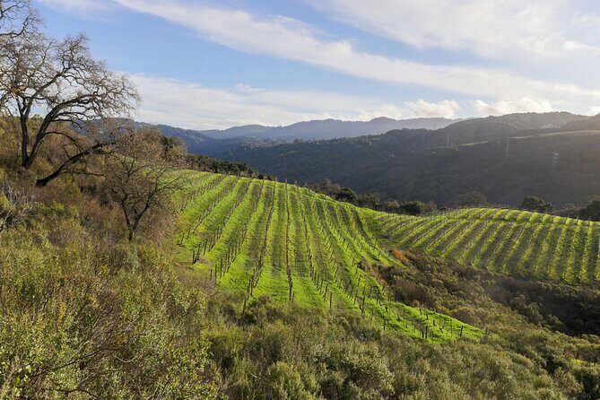 Placer County Wine Tasting Pass - Who Is This Tour Best For?