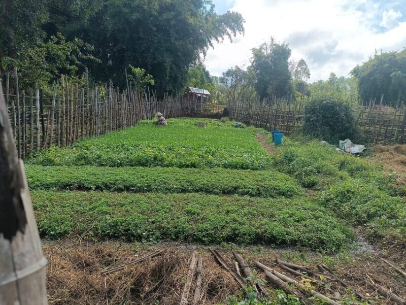 Plain of jars share group tour - FAQ