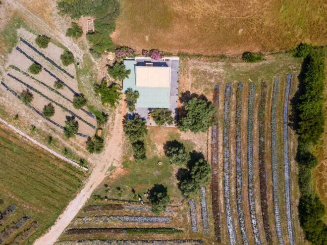 Plakias: Engaging With Cretan Earth - Experience Description