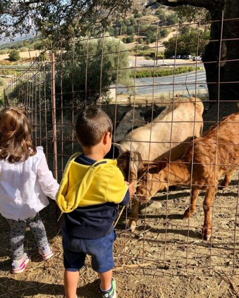 Plakias: Engaging With Cretan Earth - Important Information