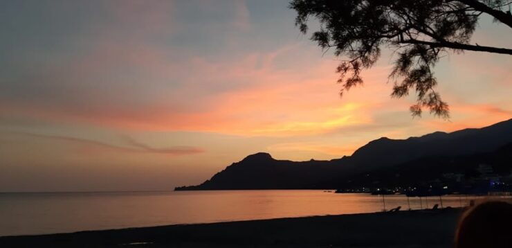 Plakias: Wine Experience by the Sea - How to Book Your Experience