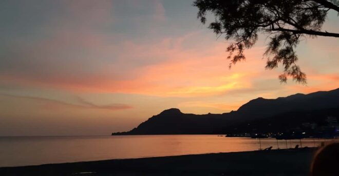 Plakias: Wine Experience by the Sea - The Tasting Journey