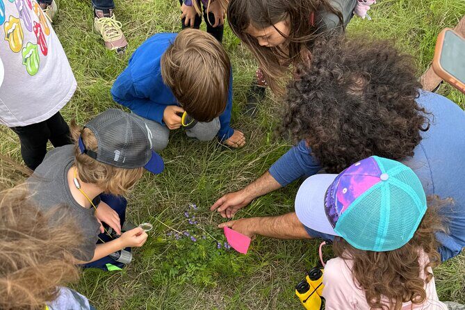 Plant and Prairie Tour - Who Will Love This Experience?