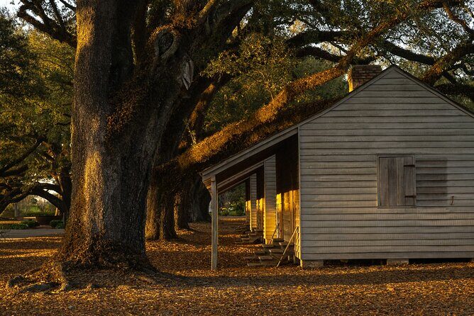 Plantation and Kayak Swamp Tour Adventure - Starting Point: French Quarter Pickup