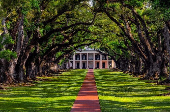 Plantation and Kayak Swamp Tour Adventure - Return Journey and Final Thoughts