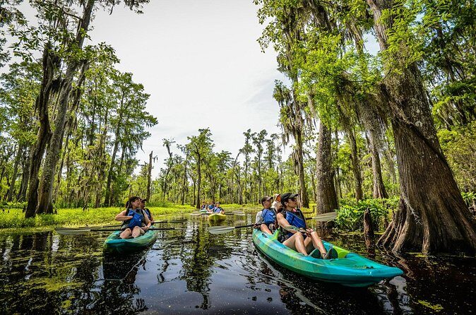 Plantation and Kayak Swamp Tour Adventure - Practical Considerations