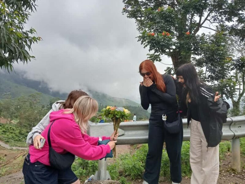 Plantations Tuk-Tuk Tour in Nuwara Eliya - The Itinerary in Detail