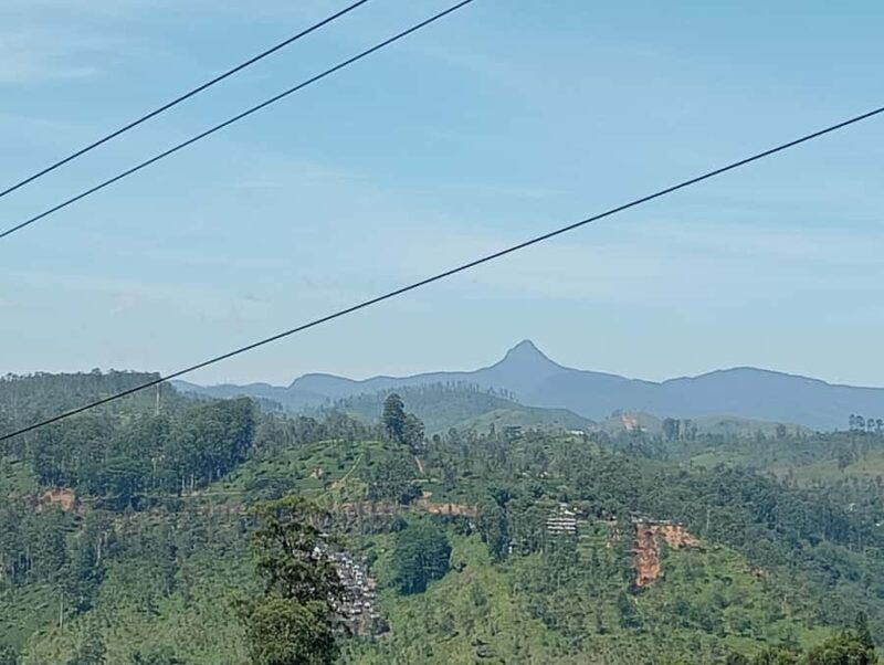 Plantations Tuk-Tuk Tour in Nuwara Eliya - Who Will Love This Tour