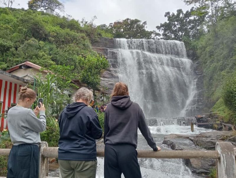 Plantations Tuk-Tuk Tour in Nuwara Eliya - An In-Depth Look at the Tour Experience
