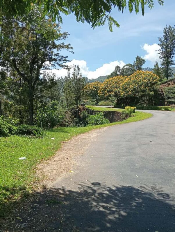 Plantations Tuk-Tuk Tour in Nuwara Eliya - FAQ