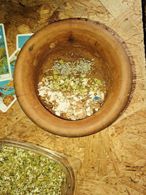 Plants and Natural Elements for Witchcraft and Tarot - Sacred Plants in Witchcraft