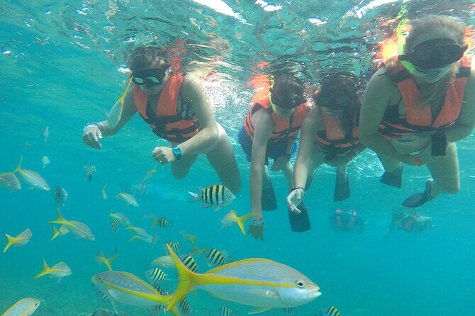 Platinum Catamaran, Drinks, Party and Beach Club! From Cancun - What to Expect from the Itinerary