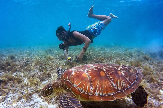 Platinum Catamaran, Drinks, Party and Beach Club! From Cancun - Who Will Love This Experience?