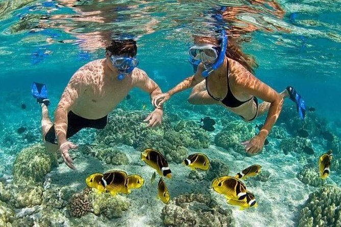 Platinum Snorkeling Catamaran Excursion with Open Bar - FAQ