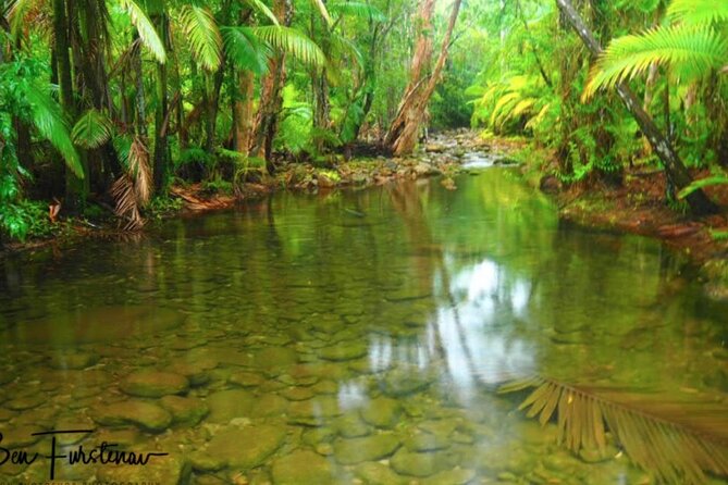 Platypus & Waterfalls Full Day All Inclusive(Not Cruise Friendly) - Requirements