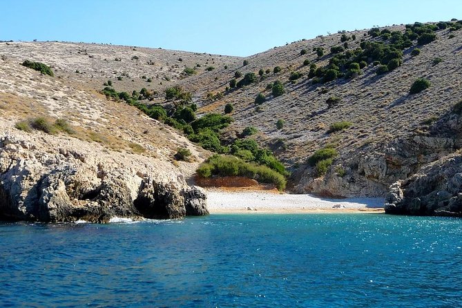 Plavnik Island & Wild Bays Full-Day Boat Trip With Capt. Bobo - Trip Overview