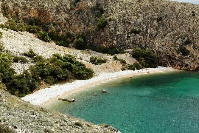 Plavnik Island & Wild Bays Full-Day Boat Trip With Capt. Bobo - Pricing Details