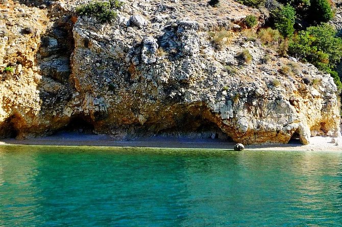 Plavnik Island & Wild Bays Full-Day Boat Trip With Capt. Bobo - Additional Information