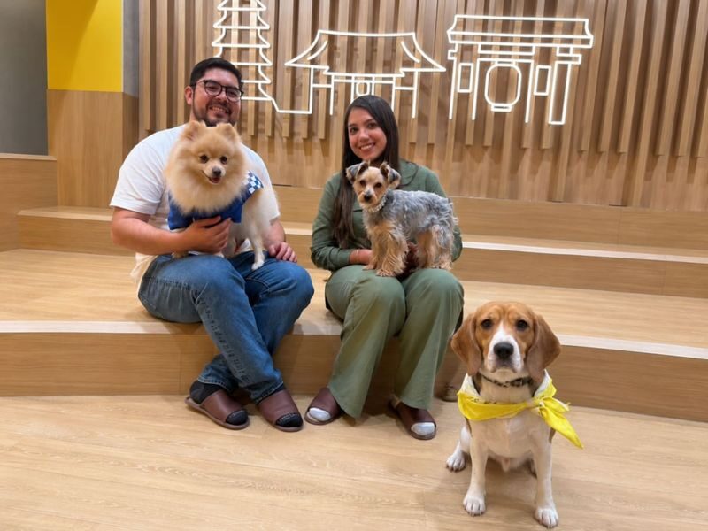 Play with Dogs at Dog Cafe Rio Asakusa [Dog Cafe Rio Asakusa] - At a glance
