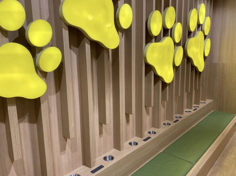 Play with Dogs at Dog Cafe Rio Asakusa [Dog Cafe Rio Asakusa] - How the visit fits into your day