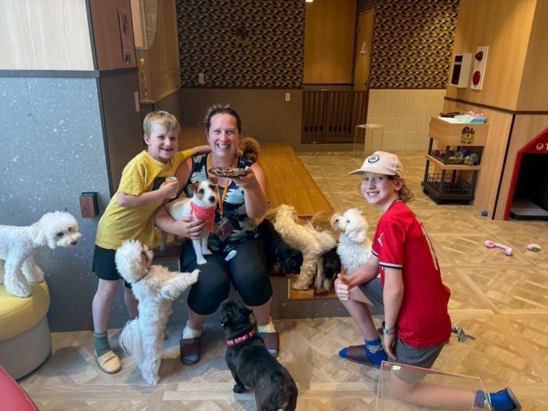 Play with Dogs at Dog Cafe Rio Kyoto[Dog Cafe Rio Kyoto] - What to know before you book