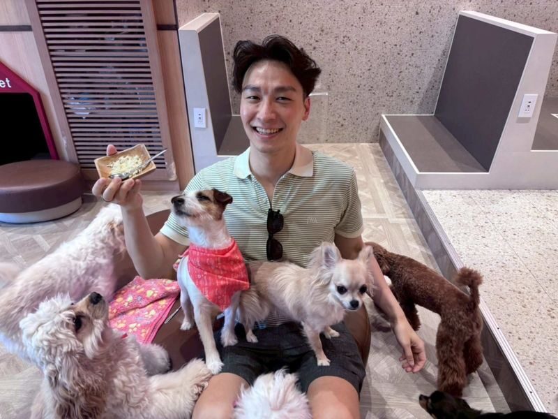 Play with Dogs at Dog Cafe Rio Kyoto[Dog Cafe Rio Kyoto] - A dog cafe break in central Kyoto