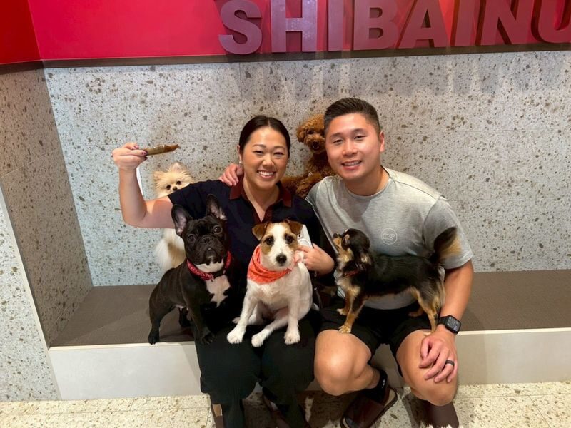 Play with Dogs at Dog Cafe Rio Kyoto[Dog Cafe Rio Kyoto] - Why the included extras matter