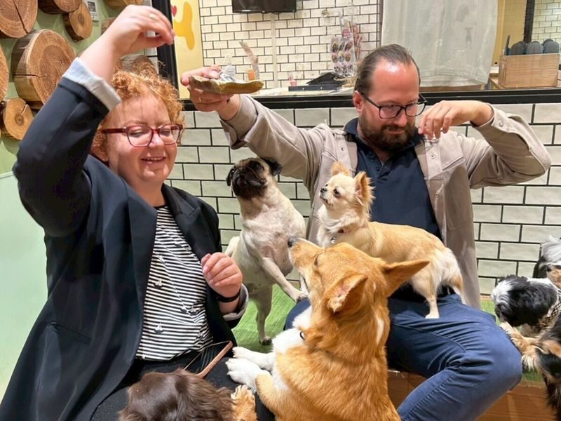 Play with Dogs at Dog Cafe Rio Shinjuku [Dog Cafe Rio Shinjuku] - Dog Cafe Rio at a glance